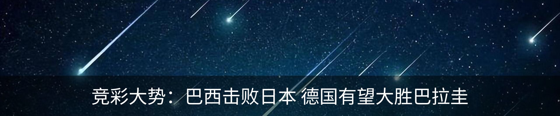 新闻动态