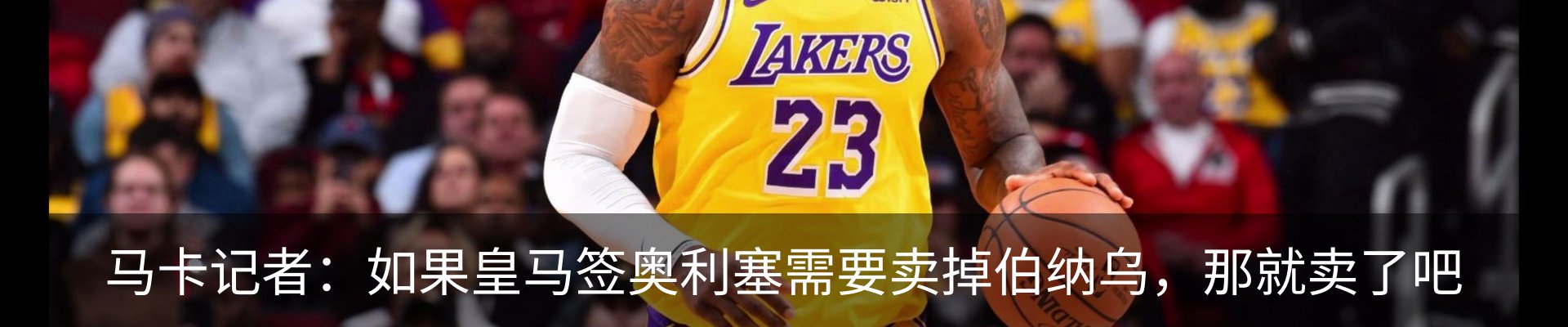新闻动态